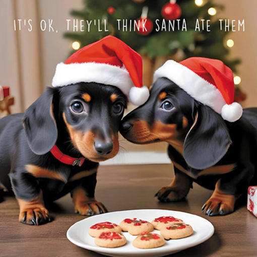 Picture of ITS OK THEYLL THINK SANTA ATE THEM CHRISTMAS CARD